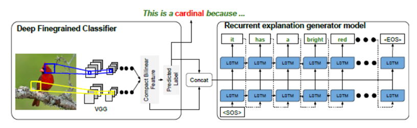 Text Based Image Algorithm for Explainable AI