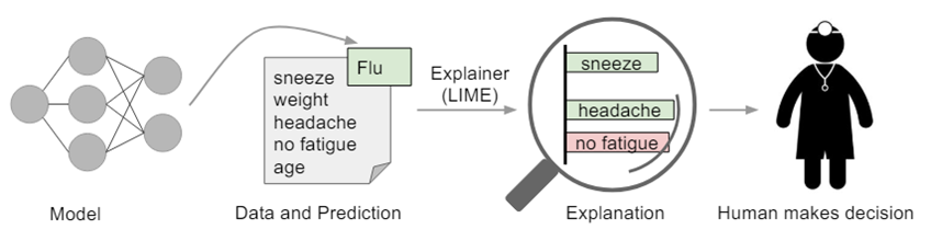 LIME Algorithm for Explainable AI