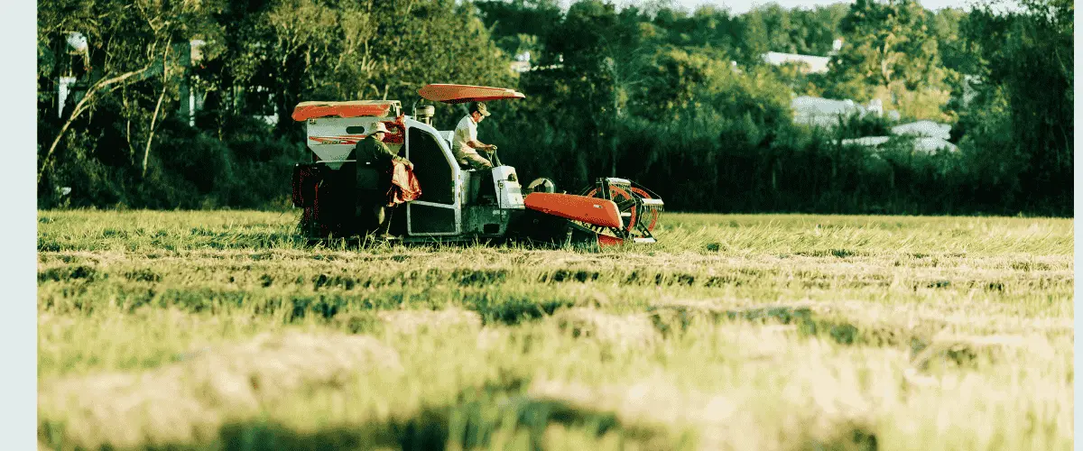 Artificial Intelligence for Operational Research: Transforming Decision-Making in Business