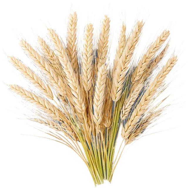 Agriculture